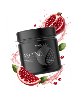 ASCEND. - Shilajit Gummies