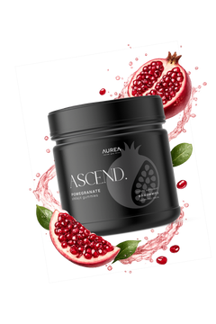 ASCEND. - Shilajit Gummies